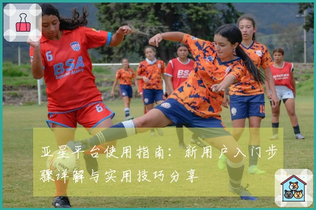 亚星平台使用指南：新用户入门步骤详解与实用技巧分享