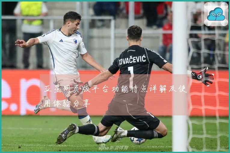 亚星网页版平台功能特点详解及使用体验分享