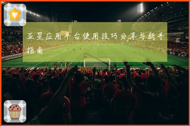 亚星应用平台使用技巧分享与新手指南